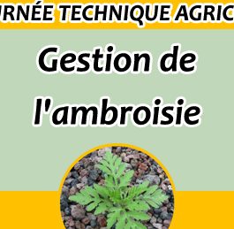 Journée Technique Agricole – Gestion de l’Ambroisie